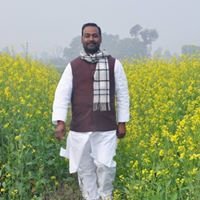Ashok Kumar Singh chat bot